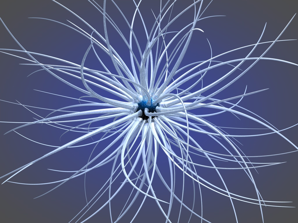 3D-graphics__002414_..jpg